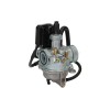 Carburatorul ALTELE NK201.06
