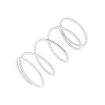 Arc TRQ SPRING SPORT +1000RPM ALTELE NK900.66 thumb