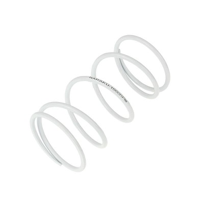 Arc TRQ SPRING SPORT +1000RPM ALTELE NK900.66