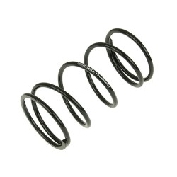 Arc TRQ SPRING SPORT +1500RPM ALTELE NK900.64 Arc TRQ SPRING SPORT +1500RPM ALTELE NK900.64