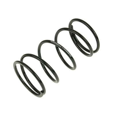 Arc TRQ SPRING SPORT +1500RPM ALTELE NK900.67