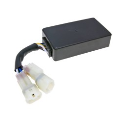 Modul CDI nerestricționat ALTELE NK390.02