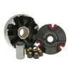 Set variator sport ALTELE NK900.25