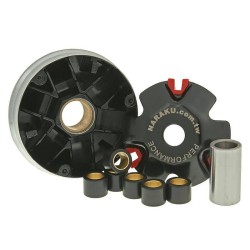 Set variator sport ALTELE NK900.81 Set variator sport ALTELE NK900.81