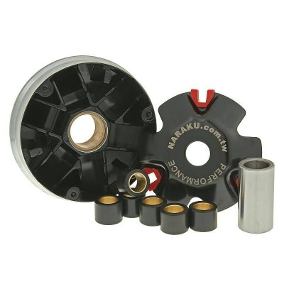 Set variator sport ALTELE NK900.81