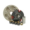 Set variator Sport ALTELE NK900.92