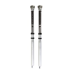 Casetă BMW S/M 1000 RR TTX2 ÖHLINS FKR 222 Casetă BMW S/M 1000 RR TTX2 ÖHLINS FKR 222