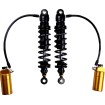 Amortizor STX 36 blackline complet reglabil bagger 12 ÖHLINS HD 779 Amortizor STX 36 blackline complet reglabil bagger 12 ÖHLINS HD 779 thumb