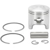 Set piston pentru snowmobil alezaj: 75.40 mm aluminiu turnat ALTE 09-681