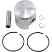 Set piston pentru snowmobil bore: 68.50 mm din aluminiu turnat ALTELE 09-6882 Set piston pentru snowmobil bore: 68.50 mm din aluminiu turnat ALTELE 09-6882 thumb