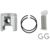 Set piston SNOW diametru: 61.00 mm din aluminiu turnat ALTE 09-751