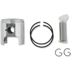 Set piston SNOW diametru: 61.00 mm din aluminiu turnat ALTE 09-751