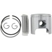 Set piston SNOW diametru: 69.50 mm aluminiu turnat ALTE 09-761 Set piston SNOW diametru: 69.50 mm aluminiu turnat ALTE 09-761 thumb