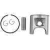 Set piston pentru snowmobil alezaj: 76.00 mm din aluminiu turnat ALTE 09772
