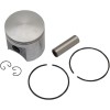 Set piston SNOW diametru: 73.50 mm din aluminiu turnat ALTE 09-8012