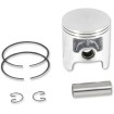 Set piston pentru snowmobil cu diametru: 66.00 mm din aluminiu turnat ALTE 09-807 Set piston pentru snowmobil cu diametru: 66.00 mm din aluminiu turnat ALTE 09-807 thumb