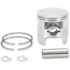 Set piston pentru snowmobil alezaj: 73.50 mm din aluminiu turnat ALTE 09-8082