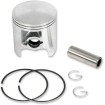 Set piston pentru snowmobil alezaj: 73.50 mm din aluminiu turnat ALTE 09-817-02 Set piston pentru snowmobil alezaj: 73.50 mm din aluminiu turnat ALTE 09-817-02 thumb