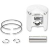 Set piston pentru snowmobil bore: 73.00 mm din aluminiu turnat ALTE 09-817