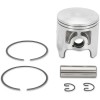 Set piston SNOW diametru: 74.50 mm aluminiu turnat ALTE 09-826