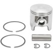 Set piston SNOW diametru: 74.50 mm aluminiu turnat ALTE 09-826 Set piston SNOW diametru: 74.50 mm aluminiu turnat ALTE 09-826 thumb