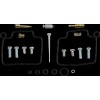 Set carburator HONDA VT600 ALTELE 26-1605