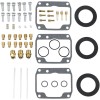 Set de reparație carburator POLARIS ALTE 26-1797