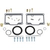 Set de reparație carburator POLARIS ALTE 26-1823