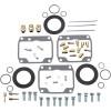 Set de reparație carburator POLARIS ALTELE 26-1973