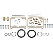 Set de reparație carburator SKI-DOO ALTE 26-1993 thumb