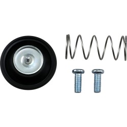 Set de restaurare AIRCUTOFF VLV ALTELE 46-4022