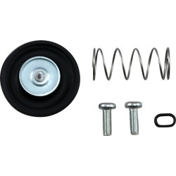 Set de restaurare AIRCUTOFF VLV ALTE 46-4024 Set de restaurare AIRCUTOFF VLV ALTE 46-4024
