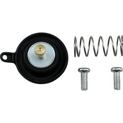 Set de restaurare AIRCUTOFF VLV ALTE 46-4033