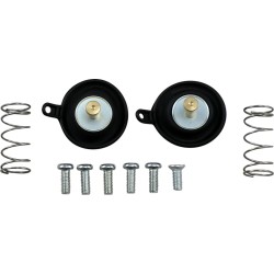 Set de restaurare AIRCUTOFF VLV ALTE 46-4037 Set de restaurare AIRCUTOFF VLV ALTE 46-4037