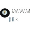 Set de restaurare AIRCUTOFF VLV ALTE 46-4040