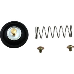 Set de reparație pentru AIRCUTOFF VLV ALTE 46-4041