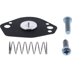 Set de restaurare AIRCUTOFF VLV ALTE 46-4007