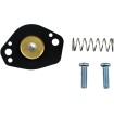 Set de restaurare AIRCUTOFF VLV ALTE 46-4007 Set de restaurare AIRCUTOFF VLV ALTE 46-4007 thumb