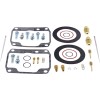 Set de reparație carburator SKI-DOO ALTE 26-10115