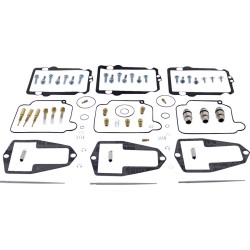 Set de recondiționare carburator ALTELE 26-10039