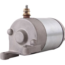 Starter / naturalsilver / POLARIS ALTELE 410-54075 Starter / naturalsilver / POLARIS ALTELE 410-54075