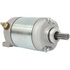 Starter / naturalsilver / POLARIS ALTELE 410-54149