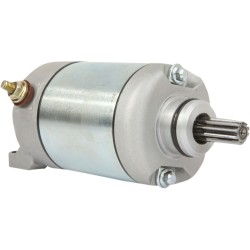 Starter / naturalsilver / POLARIS ALTELE 410-54149 Starter / naturalsilver / POLARIS ALTELE 410-54149