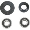 Set rulment roată față OEM înlocuire PIVOT WORKS PWFWK-H18-021