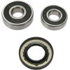 Set rulment roată spate OEM replacement PIVOT WORKS PWRWK-H26-021