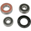 Set rulment roată spate OEM replacement PIVOT WORKS PWRWK-K15-001