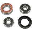 Set rulment roată spate OEM replacement PIVOT WORKS PWRWK-K15-001 thumb