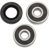 Set rulment spate roată OEM replacement PIVOT WORKS PWRWK-Y29-001