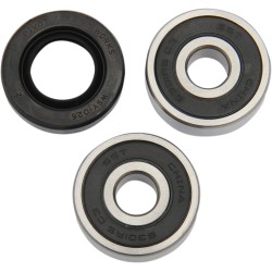 Set rulment spate roată OEM replacement PIVOT WORKS PWRWK-Y29-001