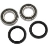 Set rulment roată spate înlocuire OEM PIVOT WORKS PWRWK-Y32-000